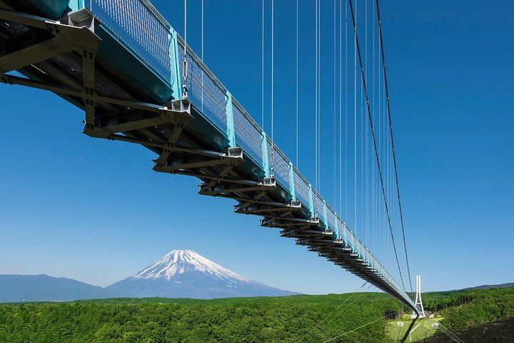 Mishima & Hakone Private Tour with Driver image