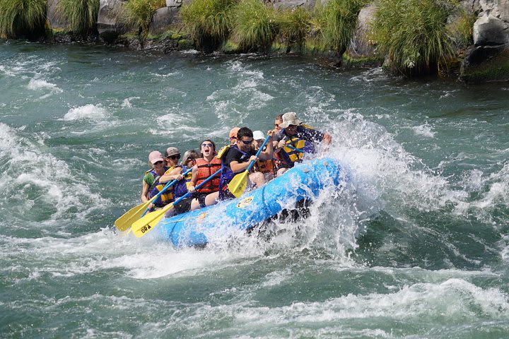 Half-day rafting trip  image