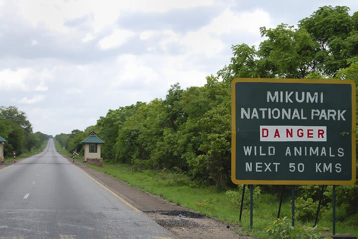 Adventure in Mikumi National Park - 2 Days/ 1 Night image