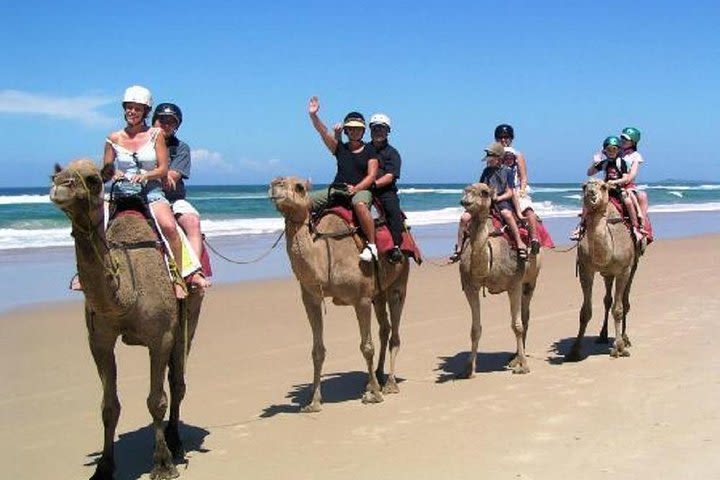 South Coast Tour With Camel Ride in Qatar image