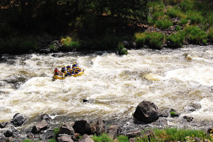 Full-Day Upper Klamath Rafting Trip image