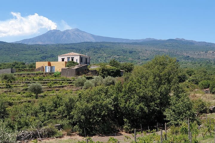 Etna wine tour image