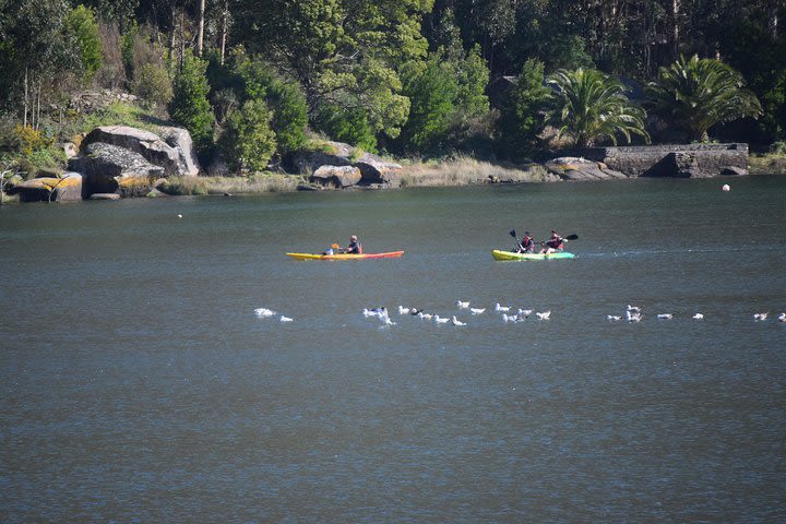 Kayaking in Ezaro Waterfall image