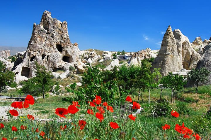 7-Day Turkey Tour from Kusadasi: Istanbul, Pamukkale, Ankara, Cappadocia and Ephesus image