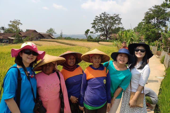 Bamboo Village Puntang Mountain From Bandung image