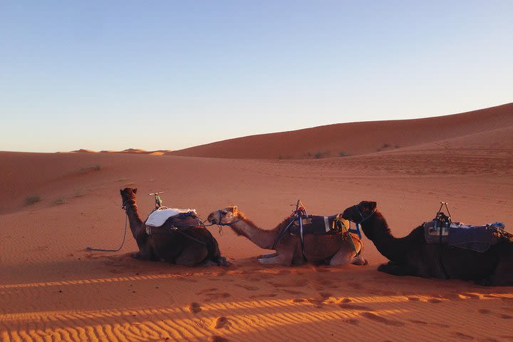 10 Days Trip: Morocco / Sahara Desert & Imperial Cities / Any starting point image