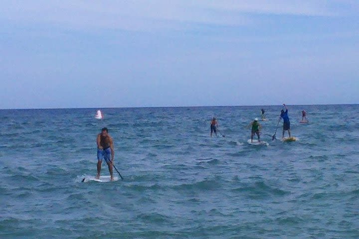 Stand Up Paddle Lesson at Palmilla Beach image