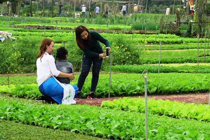 Tra Que & Rice Paddy Field image