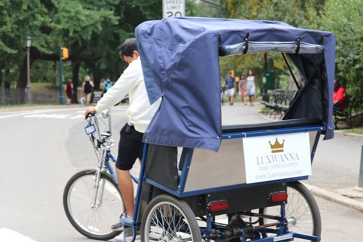 Central Park VIP Tour (All park tour up to 2 hour with unlimited stops) pedicab image