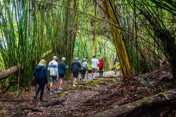 Exploring Within: Music & Movement Journey - Kailua-Kona, HI image