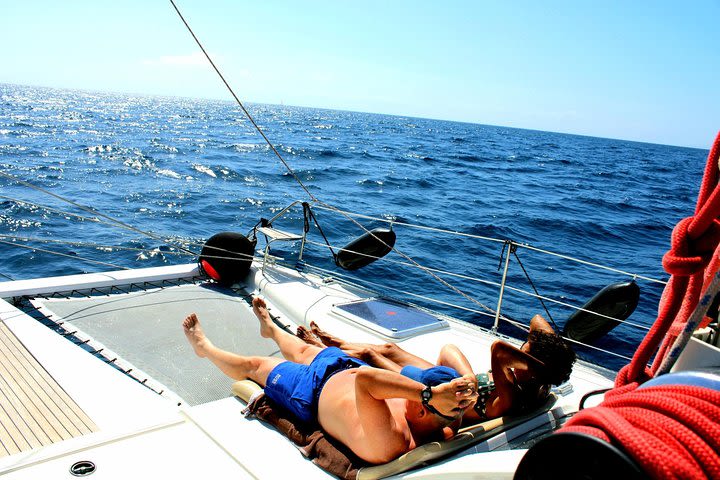 Tenerife Whale watching on private charter image