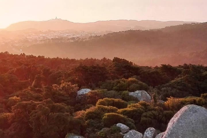 Private Evening Walk Inside the Forest: "Sintra Mountains Inbetween Wolves" image