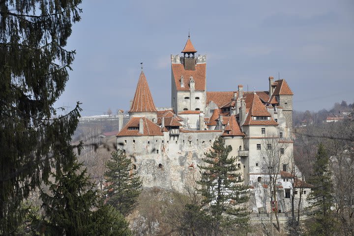 Bran Castle and Rasnov Fortress Tour from Brasov with Entrance Fees Included - Optional Peles Castle Visit image