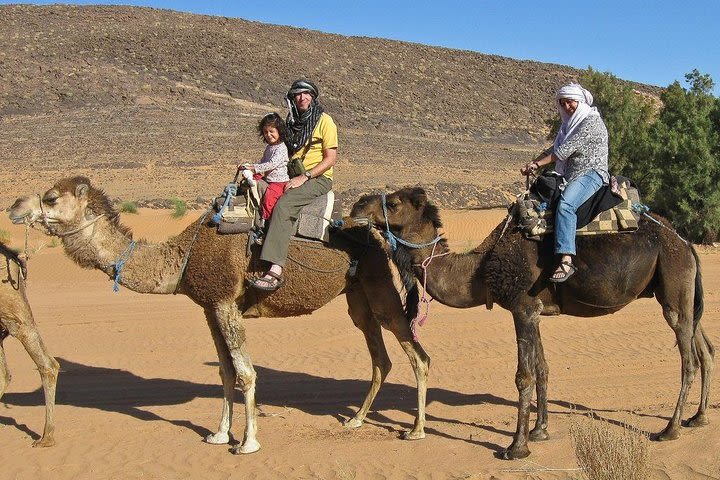 ride camel or horse image