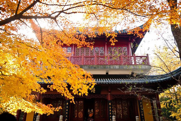 2-Day Unlimited Nanjing Private Flexible Tour with Lunch Option  image