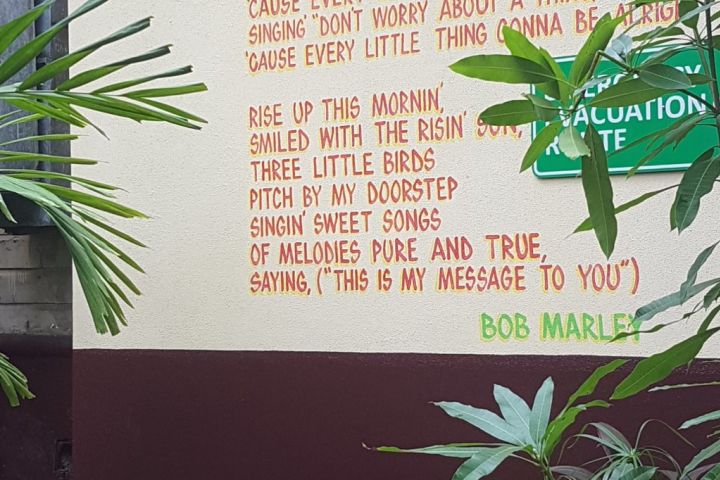 Day Trip to The Bob Marley Museum from Montego Bay image