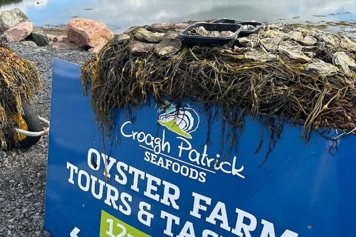 Oyster Farm Tour and Tasting by E-Bike  image