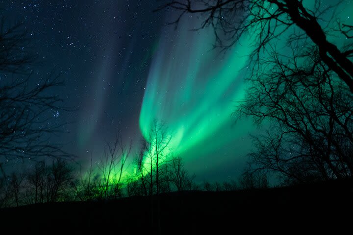 The Longest Northern Lights Tour in Kiruna with Dinner image