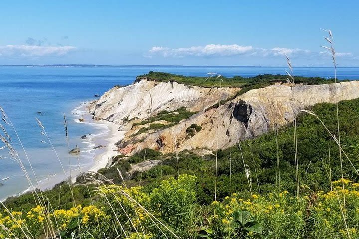 Martha's Vineyard Daytrip from Boston with Round-Trip Ferry & Island Tour Option image