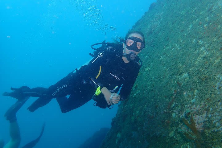 Advanced PADI Diving Course image