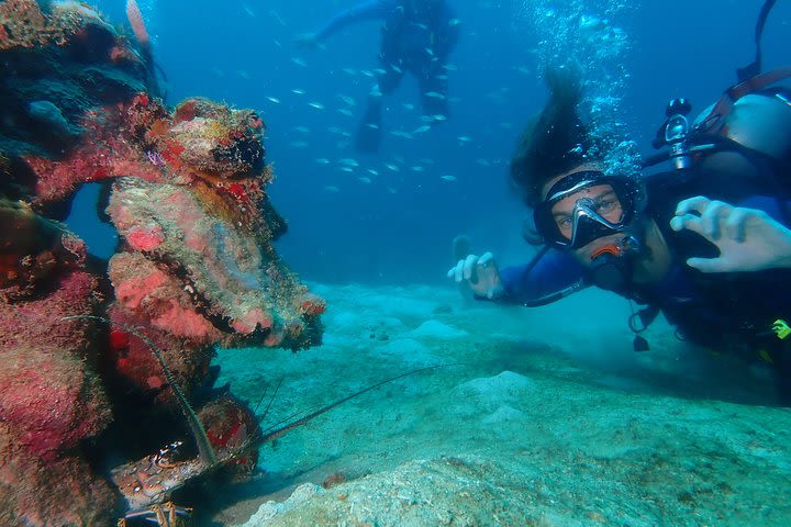 PADI AGUAS OPENTAS Course + SPECIALTY COURSE OF FLOATABILITY image