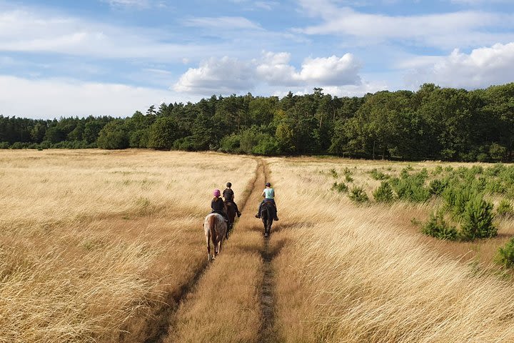 Horseback guided tour in the Green Forest Landscape Park image