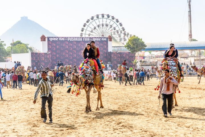 Golden Triangle with Pushkar 6-Day Private Tour image