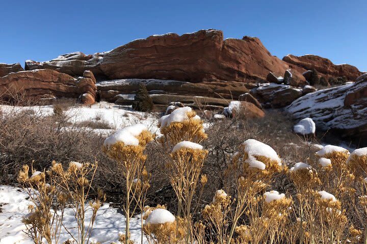 Red Rocks 2 Hour Walking Tour image