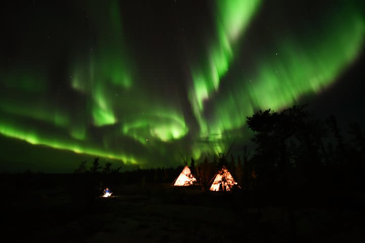 Aurora Hunting Tour image