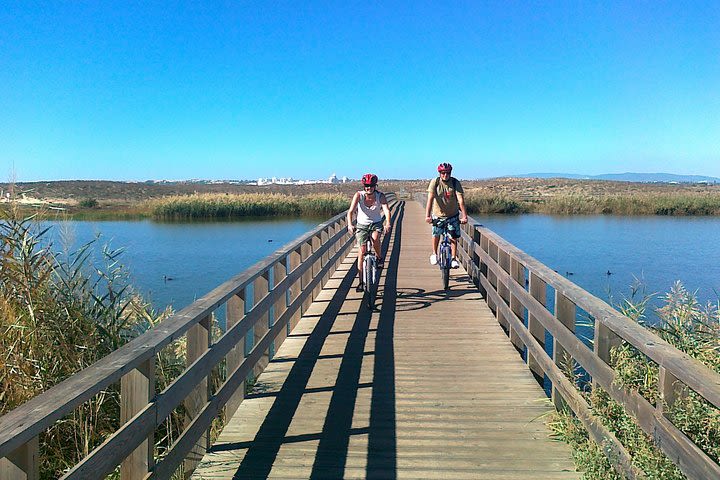 Albufeira Coast and Countryside Mountain Bike Tour image