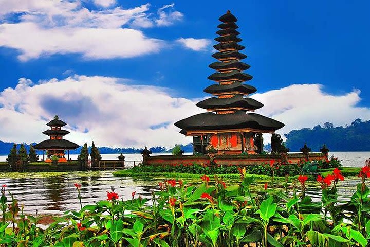 Bali Bedugul and Tanah lot Sunset Tour image