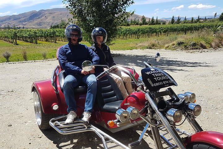 Wanaka Wine Tour by Trike  image