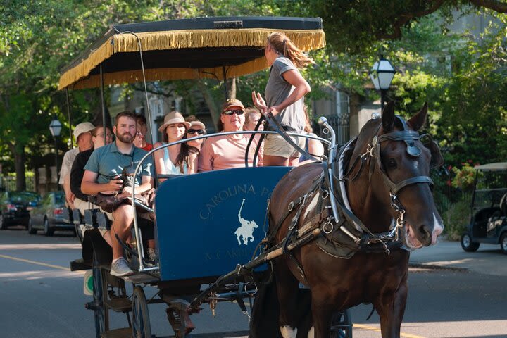 Historic Carriage Tour of Charleston image