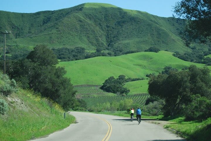 Wine Country Half-Day Bike Tour from Solvang - w/o Lunch image