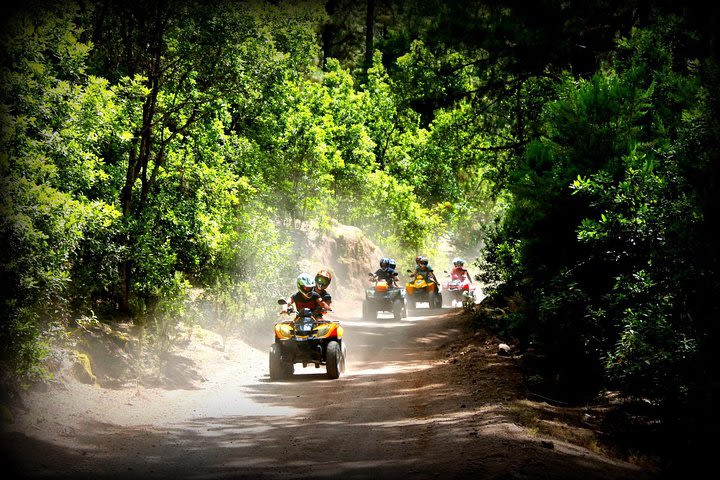 Quad Trip Forestal Explorer in TEIDE NATIONAL PARK image