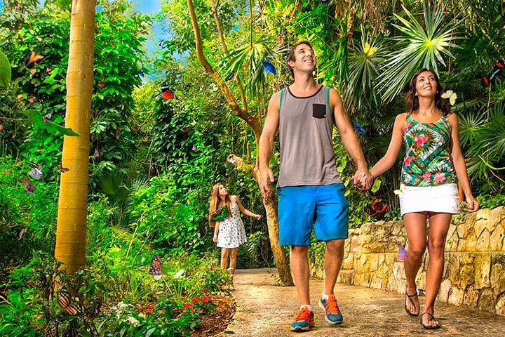Tour Xcaret All Inclusive from Playa del Carmen  image
