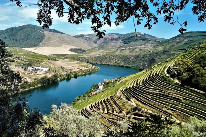 Private Douro Valley Tour - Visit Three Wineries with Wine Tastings and Lunch image