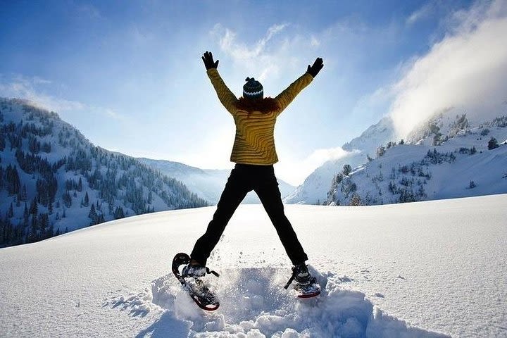 Full-Day Snowshoeing Tour to Kazbegi from Tbilisi image