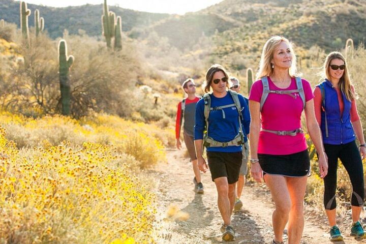 Half-Day Sonoran Desert Hiking Tour image