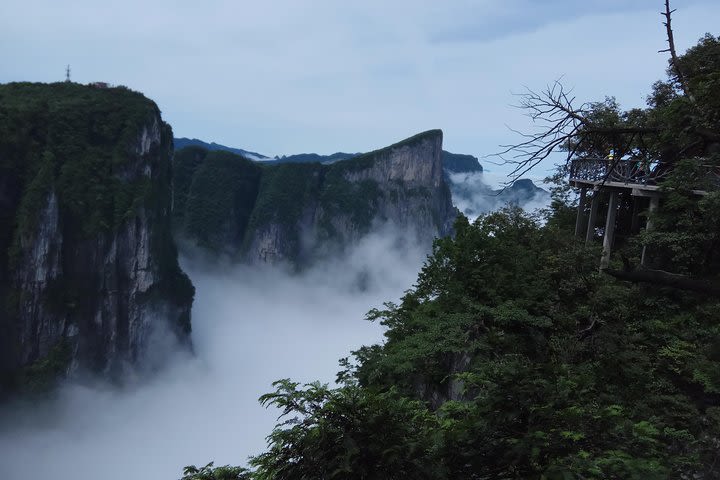 Tianmen Mountain one day tour image