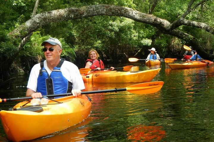 Amelia Island Kayak Rental on Lofton Creek image