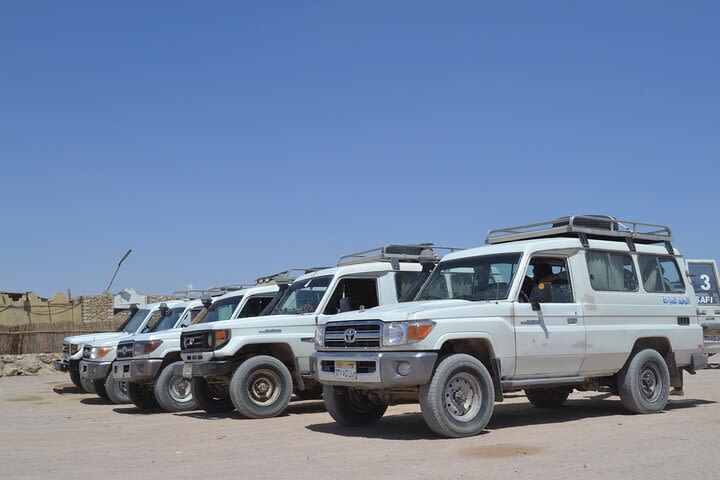 Super Safari Quad, Jeep, Camel Ride, BBQ Dinner, Bedouin village - Marsa Alam image