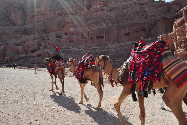 From Amman: one day tour to Petra image