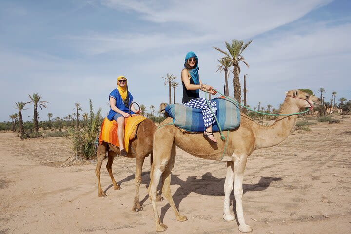 Camel Ride in the Palm Grove of Marrakech image