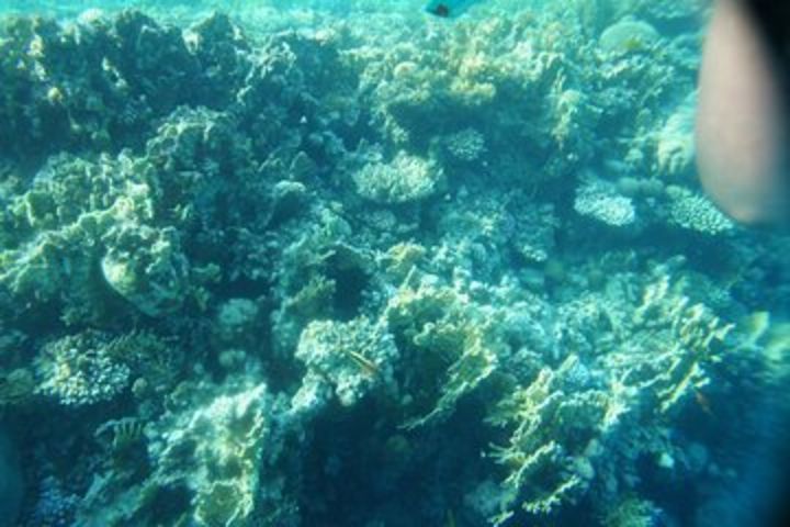 Blue Hole and 3 Pools Snorkel with Lunch from Dahab image