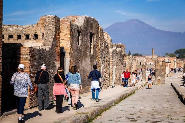 Pompeii tour from Rome image