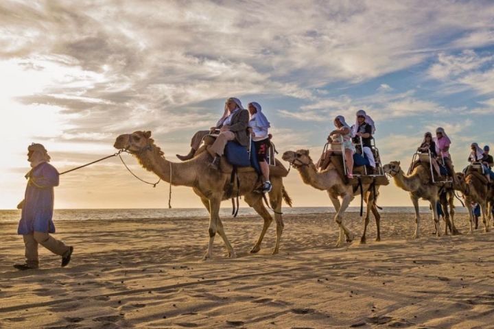Cabo Arch & Camels: Pacific Beach Ride + Buffet Lunch image