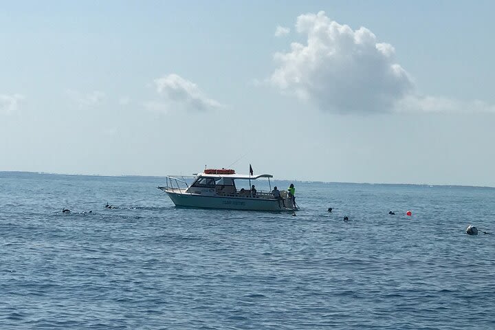 Private Snorkel Charter to the Key Largo Reef for Group of 2 to 11 People image