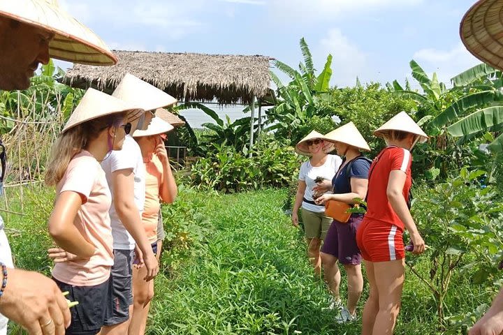 Half-Day Guided Tour on Hanoi Outskirt, Hanoi Green Farm  image