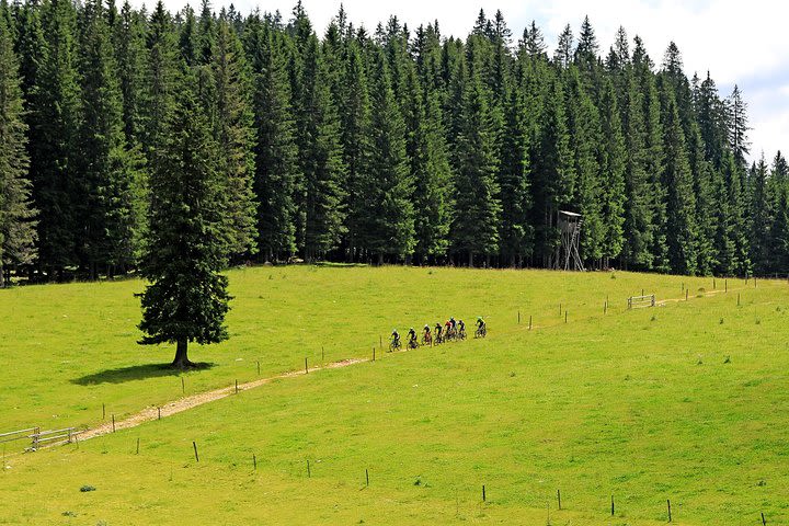 Triglav National Park Gravel Bike Tour  image